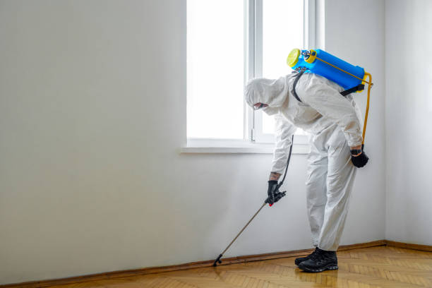 Best Fumigation Services  in Erin, TN